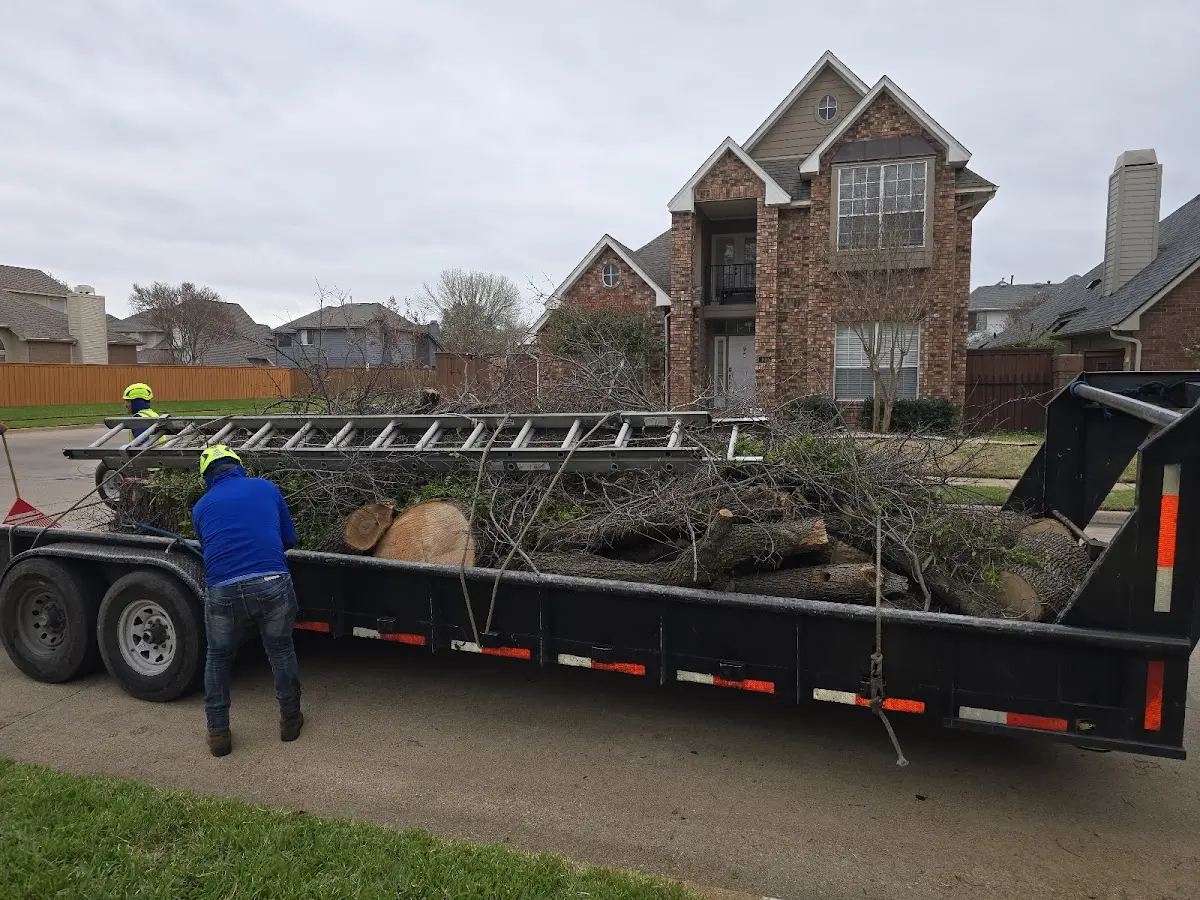 Expert Lot Clearing with proper safety equipment in Delphos